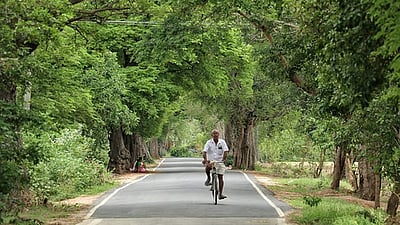 மண் மணம் தேடும் மனம்!