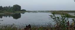 ஏரி, குளங்களில் இலவசமாக மண்ணை எடுத்துச் செல்ல விண்ணப்பிக்கலாம்
