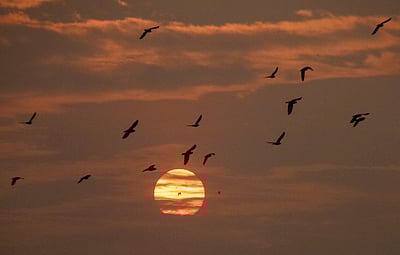 இது ஒரு குளிர்காலம்!