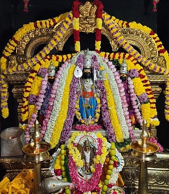 ரத்தினகிரி பாலமுருகன் கோயிலில் கிருத்திகை விழா