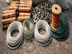 பசுவந்தனை அருகே வெடிபொருள்கள் பறிமுதல்