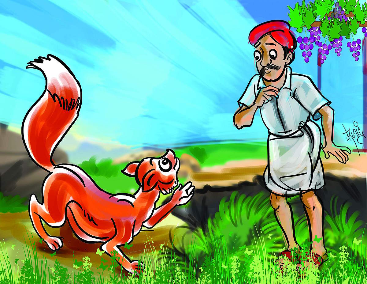 News image