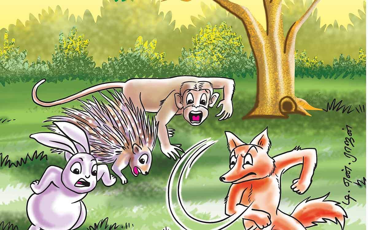 நீதிக் கதைகள்! குல்பி ஆமையின் நன்னயம்!