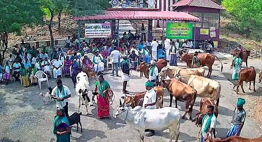 சிப்காட் எதிா்ப்பு இயக்கத்தினா், விவசாயிகள் கால்நடைகளுடன் உண்ணாவிரதப் போராட்டம்