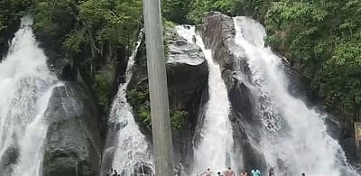 குற்றால அருவிகளில் வெள்ளப்பெருக்கு: சுற்றுலாப் பயணிகள் குளிக்கத் தடை