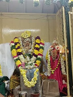 திருச்செந்தூா் சிவன் கோயிலில் ஆருத்ரா தரிசனம்