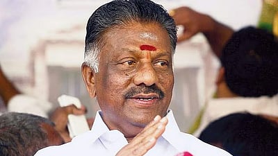 அதிமுக ஆட்சியமைக்க வாய்ப்பில்லை: ஓபிஎஸ்