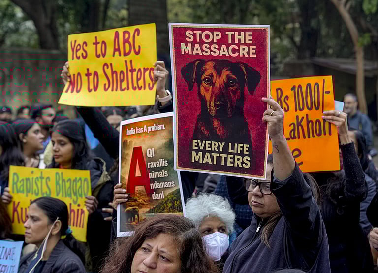 தெரு நாய்கள் பிரச்சினை: ஆா்வலா்கள், குடிமக்கள் ஜந்தா் மந்தரில் போராட்டம்! சட்டபூா்வமான கொள்கைக்கு அழைப்பு!