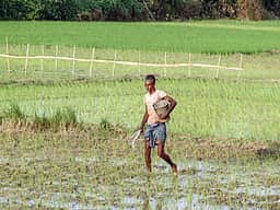 வேளாண் கூட்டுறவு சங்கங்களில்
ரொக்க விலையில் விதைகள்,
உரங்கள் விநியோகம்