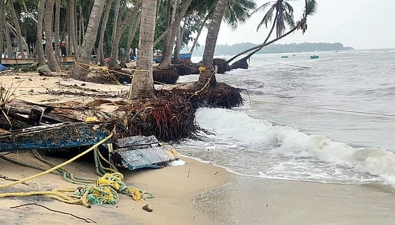 ராமேசுவரத்தில் மணல் அரிப்பு: கடற்கரையோர மரங்கள் சேதம்