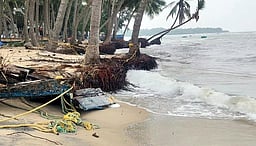 ராமேசுவரத்தில் மணல் அரிப்பு: கடற்கரையோர மரங்கள் சேதம்