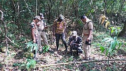 வால்பாறை, மானாம்பள்ளி வனச் சரகங்களில் புலிகள் கணக்கெடுப்புப் பணி தொடக்கம்