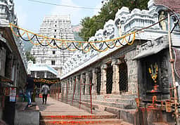 ஏழுமலையான் தரிசனம்: 18 மணி நேரம் காத்திருப்பு