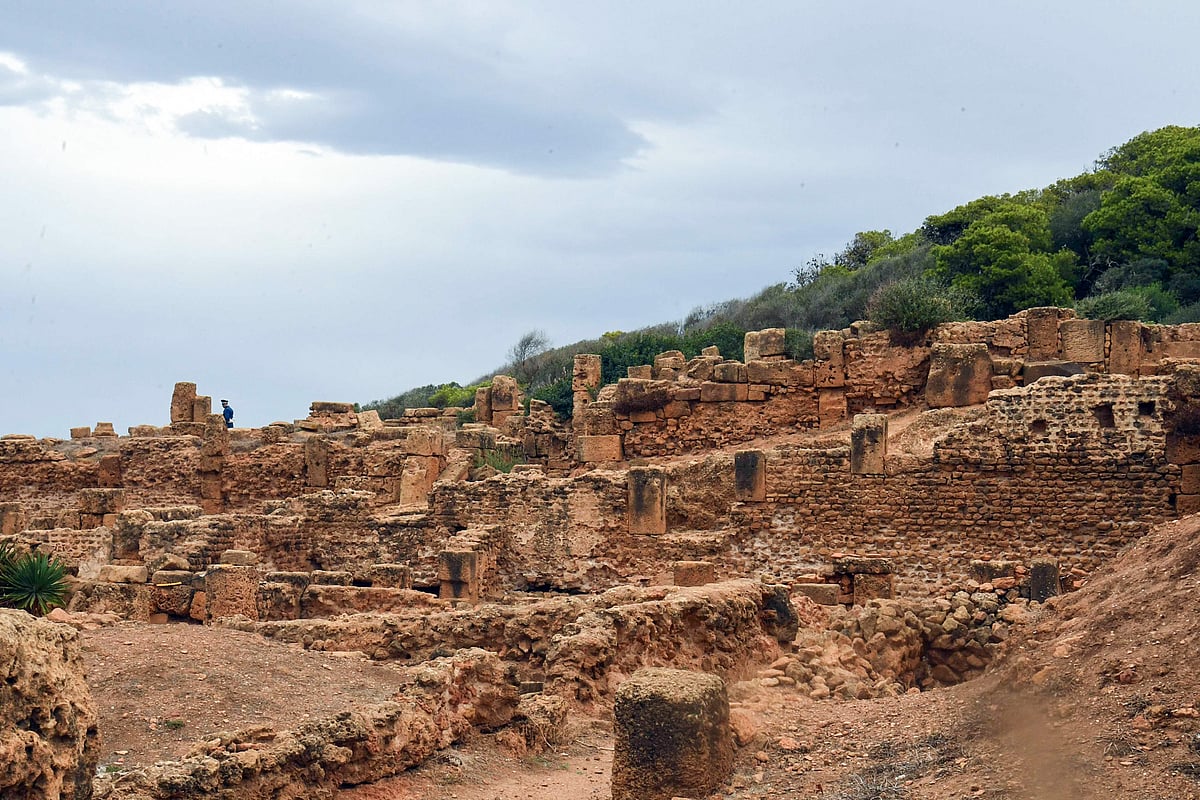 மண்ணும் மனிதர்களும்... அல்ஜீரியா