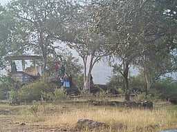 தெரியுமா?