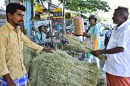 கோவை மாநகரில் சூடுபிடிக்கும்
பொங்கல் பானை, பூளைப் பூ விற்பனை