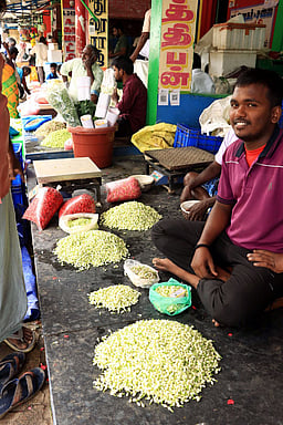 மதுரையில் மல்லிகைப் பூ கிலோ ரூ.6,000!