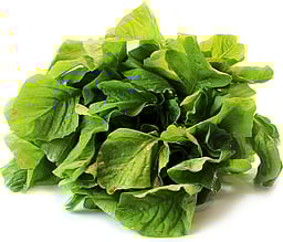 ஆயுள் காக்கும் ஆயுர்வேதம்: மயக்கம், தலைச்சுற்றல் பிரச்னை தீர?