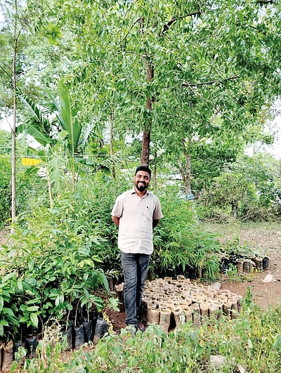 பெரிதினும் பெரிது செய்ய விழைவேன்!