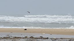 கடல் சீற்றம், சூறைக்காற்று:
மீனவா்கள் கடலுக்குச் செல்லவில்லை