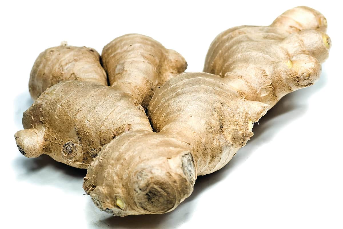 இஞ்சியின் மகத்துவம் தெரியுமா?