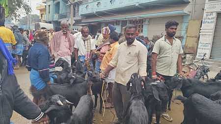 தருமபுரியில் பொங்கல் பண்டிகையை முன்னிட்டு ஞாயிற்றுக்கிழமை நடைபெற்ற வாரச்சந்தையில் விறு விறுப்பாக நடைபெற்ற ஆடுகள் விற்பனை.
