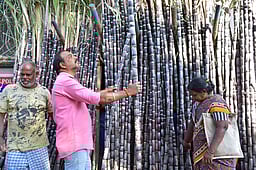 மல்லிகைப் பூ வரத்து குறைவால் 
கோவையில் கிலோ ரூ.4,000-க்கு விற்பனை