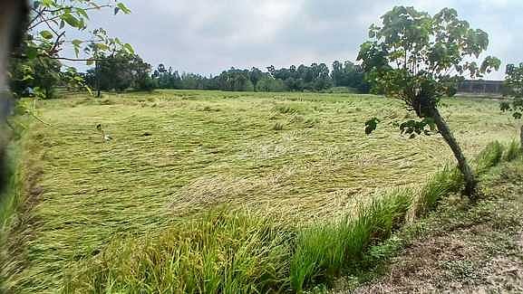 சூறைக்காற்றுடன் பலத்த மழை:
மீனவா்கள் கடலுக்கு செல்லவில்லை