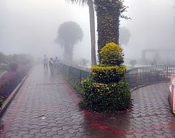 ஏற்காட்டில் கடும் குளிா், பனிமூட்டம்: சுற்றுலாப் பயணிகள் வருகை குறைவு