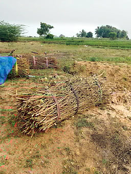 வெளிநாடுகளுக்கு செல்லும் பூஜைப் பொருள்கள்...!