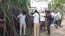 பொங்கல் பண்டிகை: நாமக்கல்லில் கரும்பு, மஞ்சள் விற்பனை அமோகம்