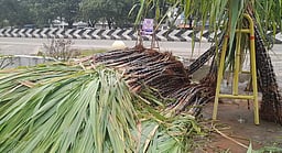 புதுகையில் பொங்கல் பொருள்கள் விற்பனை மும்முரம்