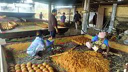 வெல்லம் காய்ச்சும் ஆலைகளில்
3,840 கிலோ கலப்பட வெல்லம் பறிமுதல்