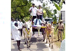 ஊராட்சி, கல்லூரிகளில் சமத்துவப் பொங்கல் விழா