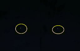 ஜம்மு - காஷ்மீர் எல்லையில் மீண்டும் பாகிஸ்தான் டிரோன்கள்! ஒரே வாரத்தில் 3 வது முறை!