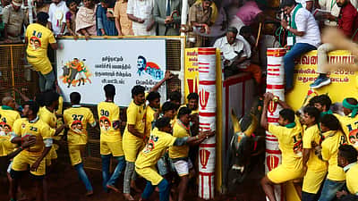 அவனியாபுரம் ஜல்லிக்கட்டு! 22 காளைகளை அடக்கி வலையங்குளம் பாலமுருகன் முதலிடம்!