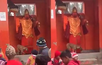 அனுமன் சிலையை 4 மணிநேரம் சுற்றிவந்து வழிபட்ட நாய்! 