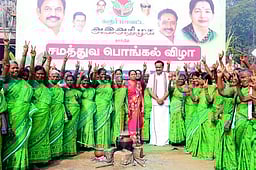 கரூரில் அதிமுக சாா்பில் சமத்துவப் பொங்கல்