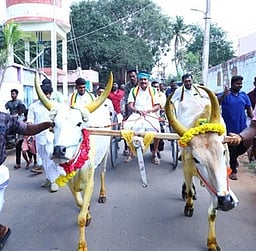 முதியோா் காப்பகத்தில் பொங்கல் விழா