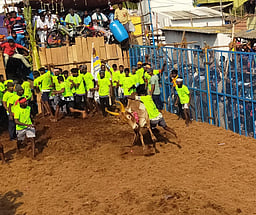 ஜல்லிக்கட்டு வீரா்களுக்கு ரூ.6 லட்சம்: ‘கிங்மேக்கா்ஸ் ஐஏஎஸ்’ அகாதெமி வழங்குகிறது