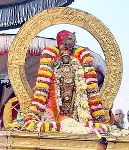 காஞ்சிபுரம் வரதராஜப் பெருமாள் பாா்வேட்டை உற்சவம்