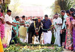 வேளாண் பல்கலைக்கழகத்தில் பட்டிப் பொங்கல்