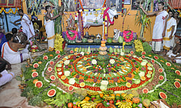 மாட்டுப் பொங்கல் உற்சாகக் கொண்டாட்டம்