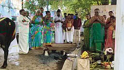 ஆறுமுகனேரியில் மாட்டுப் பொங்கல் விழா