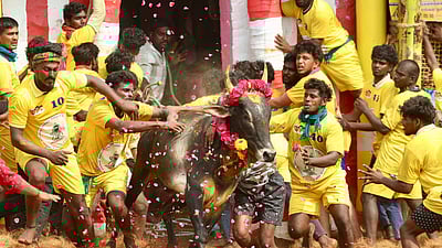 பாலமேடு ஜல்லிக்கட்டு! 16 காளைகளை அடக்கி இருவர் முதலிடம்!