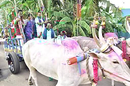 பொம்மம்பட்டியில் ஆவின் மாட்டுப் பொங்கல் திருவிழா: அமைச்சா் மனோதங்கராஜ் பங்கேற்பு