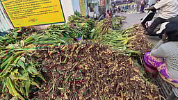 கடலூா் உழவா் சந்தையில் குவிந்த மஞ்சள் கொத்து: வாங்குவாரில்லாததால் நஷ்டமடைந்த விவசாயிகள்