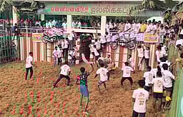 வன்னியன்விடுதி ஜல்லிக்கட்டு: 650
சீறிப்பாயும் காளைகள் பங்கேற்பு!