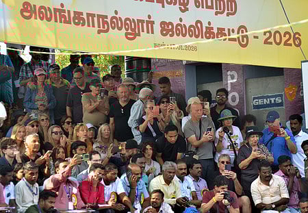 அயல்நாட்டவரை ஈா்க்கும் அலங்காநல்லூா் ஜல்லிக்கட்டு