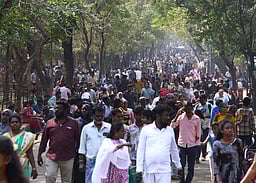 வண்டலூா் உயிரியல் பூங்காவுக்கு 
3 நாள்களில் 75,000 போ் வருகை